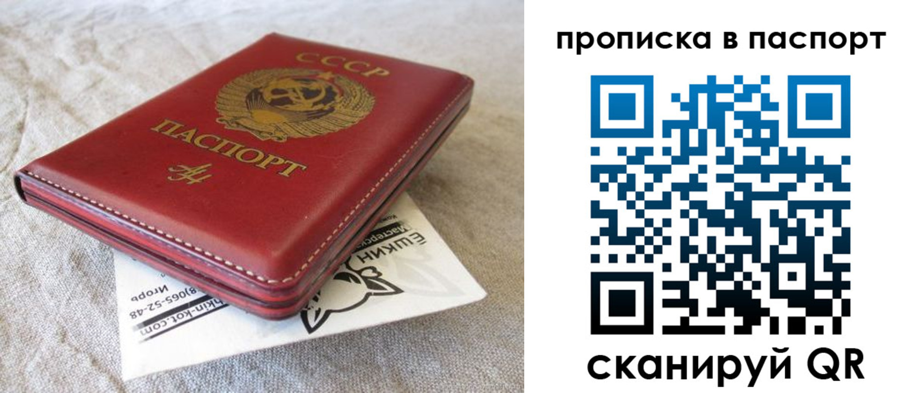 прописка штамп в Пионерском